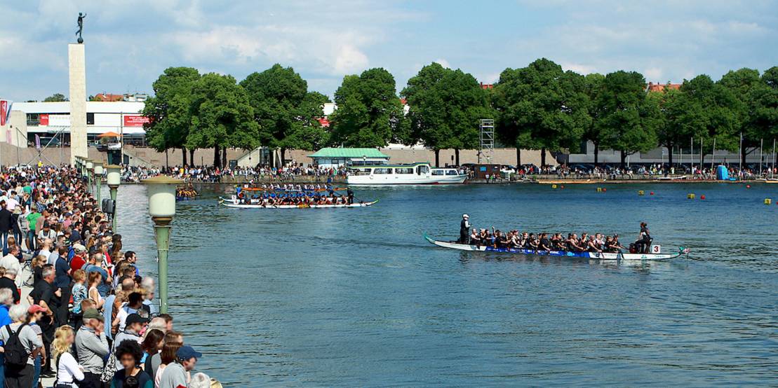 Vier Drachenboote laufen am mit vielen Zuschauern besetzten Nordufer des Maschsees ein.